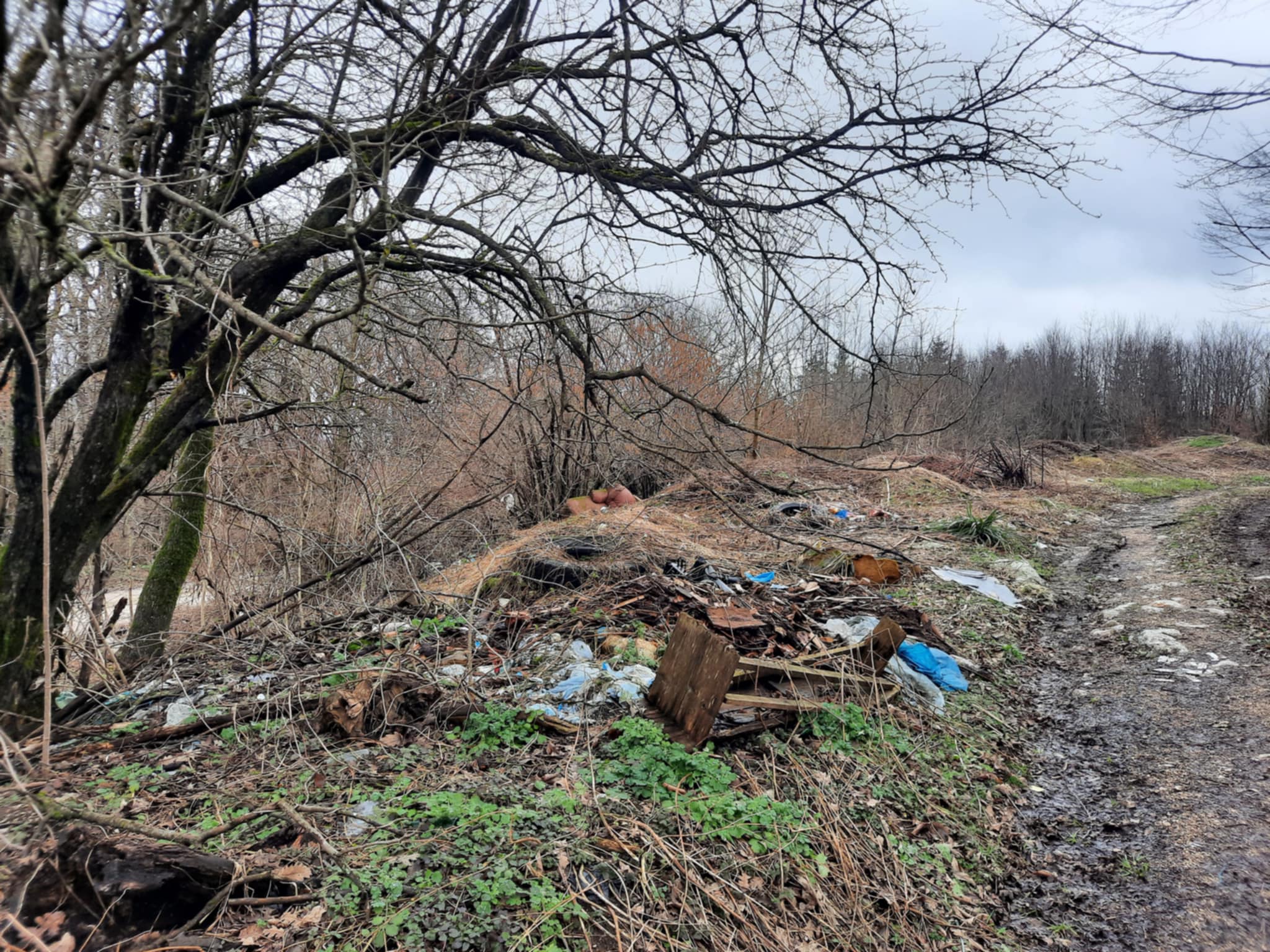 Messenger creation 414542D9 58E4 48EE 9477 CBE14B633CAB